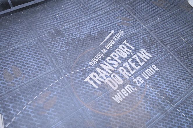 Reporterzy "Super Expressu" zamienili się w świnie. To pierwsze takie miejsce w Polsce. Nietypowy escape room w Warszawie