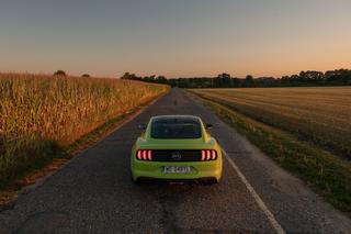 Ford Mustang GT 5.0 V8 55 Edition