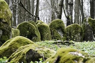   Pseudomegalityczny cmentarz Dohnów na Mazurach [GALERIA]