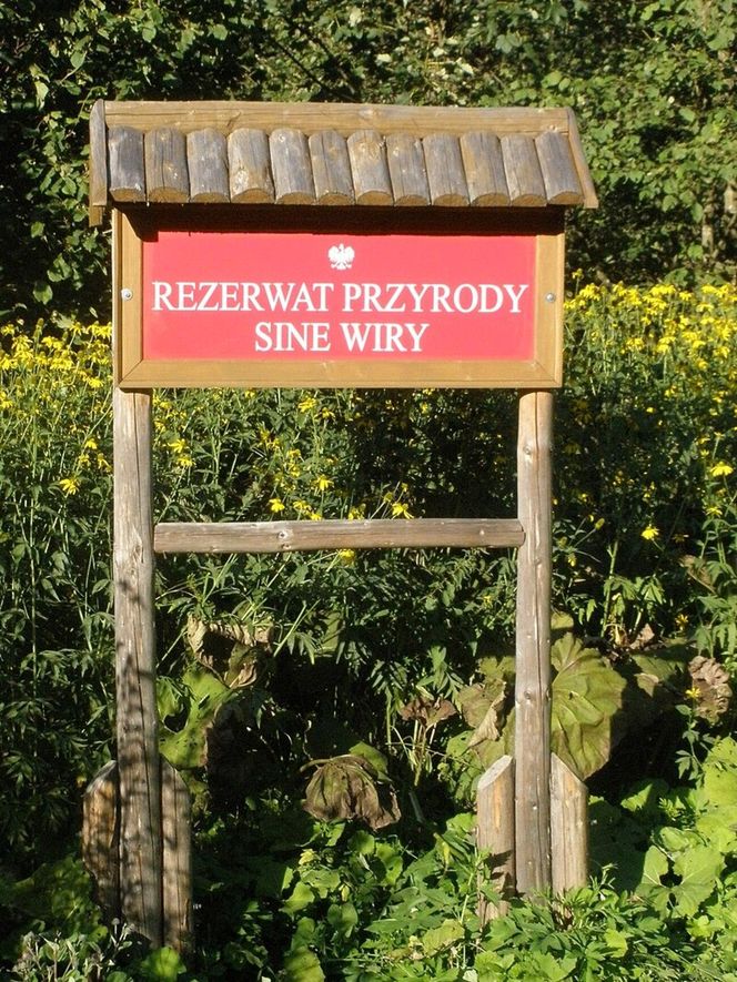 Rezerwat przyrody Sine Wiry 