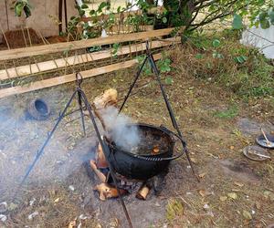 Odbywający się w Mrozach Festyn Archeologiczny to wydarzenie, które z roku na rok przyciąga coraz więcej umieszkańców regionu i turystów