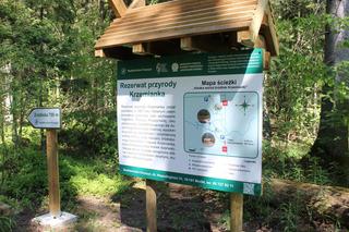 Kładka wśród źródlisk w Krzemiance