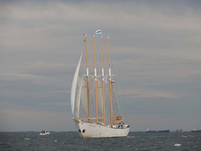 ParadaZagleGdyni2014_FotMZwierz_710110
