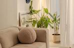 Mieszkanie architektki wnętrz w stylu hygge i japandi
