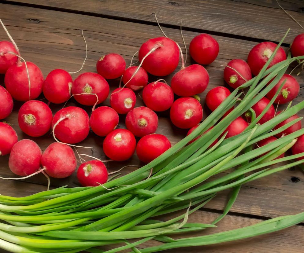 Nowalijki - zdrowie czy trucizna? Jak wybierać i przechowywać młode warzywa