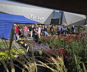 Jesienny Kiermasz Ogrodniczy w Bydgoszczy przyciągnął miłośników zieleni i smakołyków!