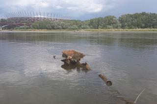 W Warszawie znaleziono wrak statku Bajka