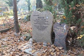 Cmentarz dla zwierząt w Koniku Nowym. „Moje serce jest Twoim domem, będziesz w nim żył dopóki będzie biło”