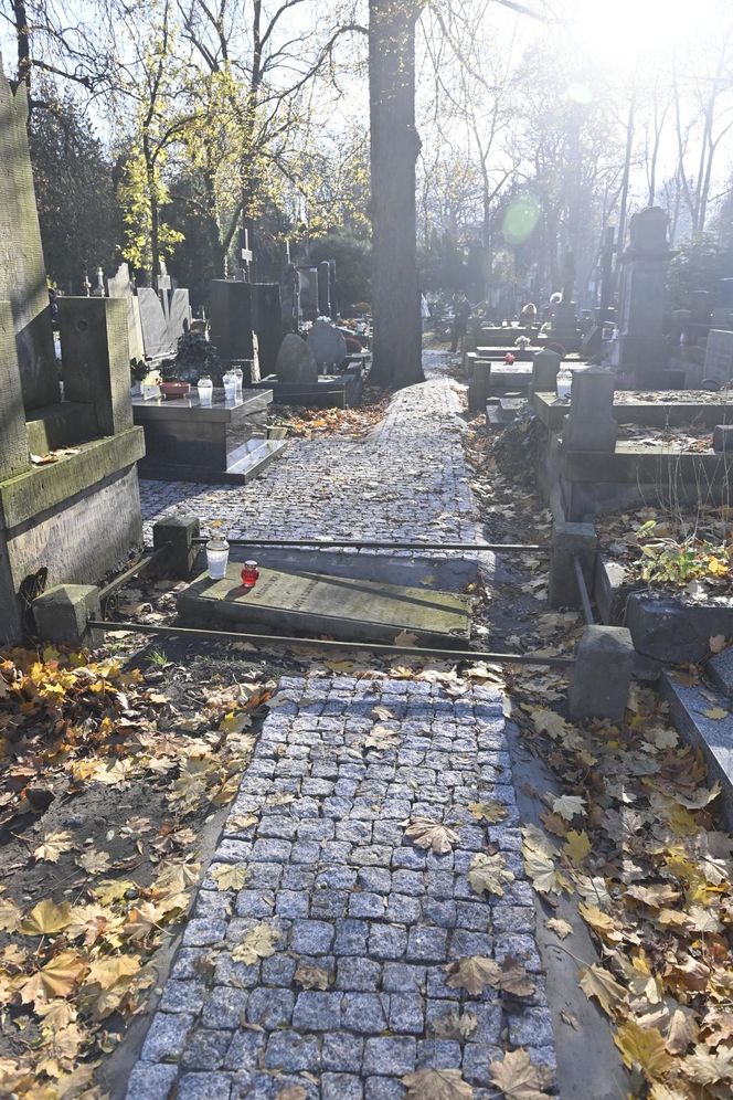 Gwiazdy kwestują na Powązkach