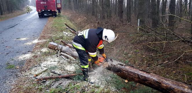 Silny wiatr na Podkarpaciu 17.01.2022. Uszkodzone dachy na szkołach! 