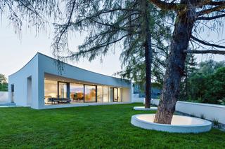 Miastowy zrośnięty z naturą