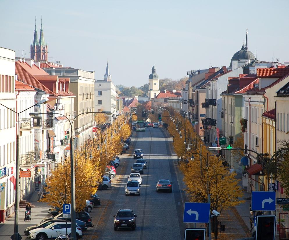 Białystok. Lipy na ul. Lipowej czekają cięcia pielęgnacyjne