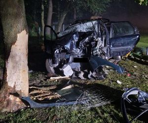 Samochód uderzył w drzewo. Autem kierowała pijana 22-latka