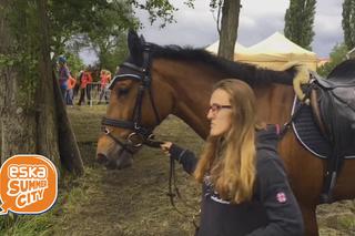 Z kamerą wśród koni, czyli ESKA Summer City na Sedina Horse Show [WIDEO]