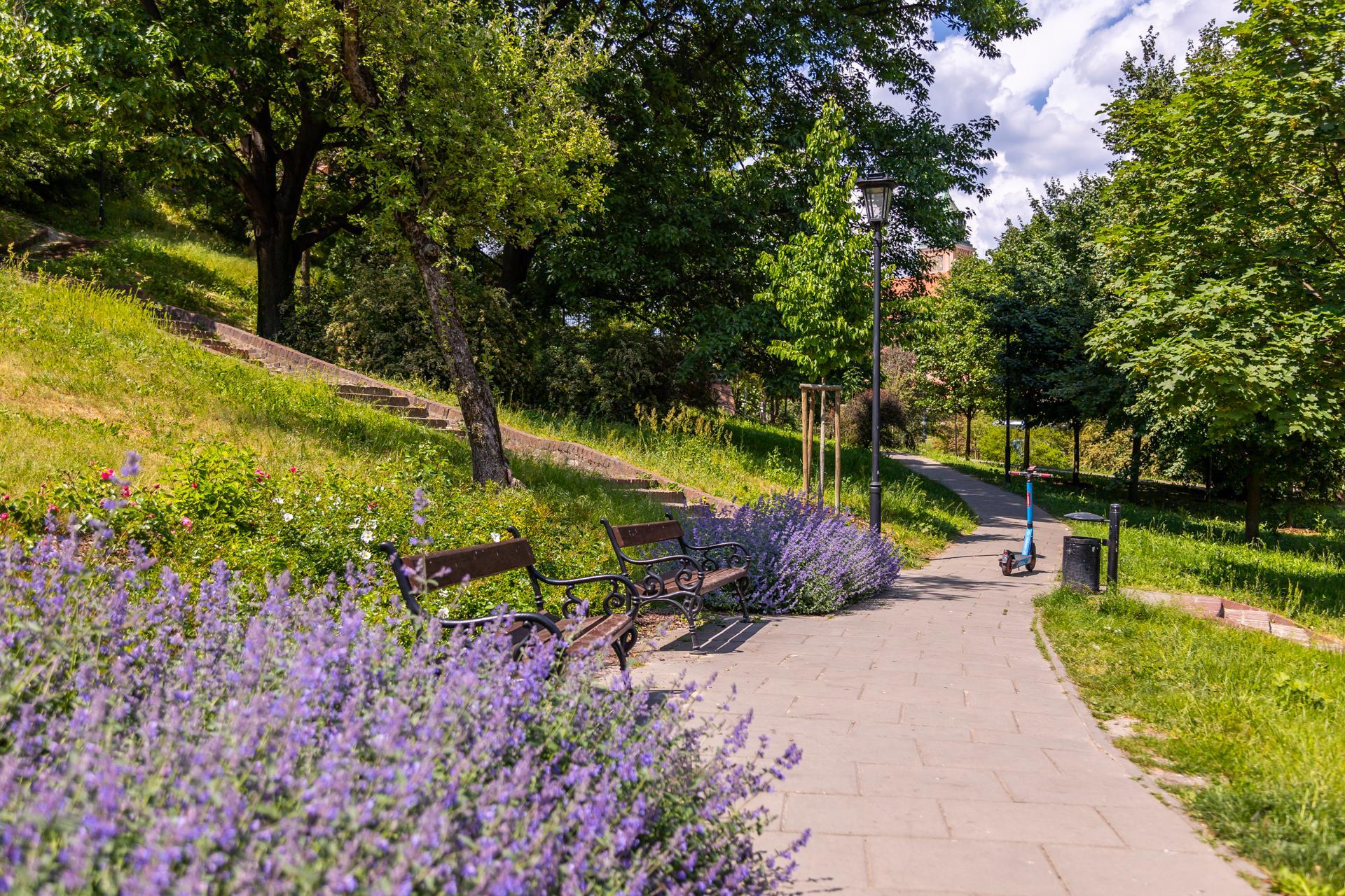Mariensztat w Warszawie - zdjęcia. Niewykorzystany potencjał w centrum miasta