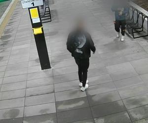 Niesforny wandal z Pszczyny