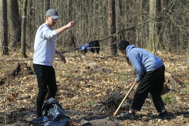 Wielkie sadzenie drzew z Lasami Państwowymi pod Warszawą