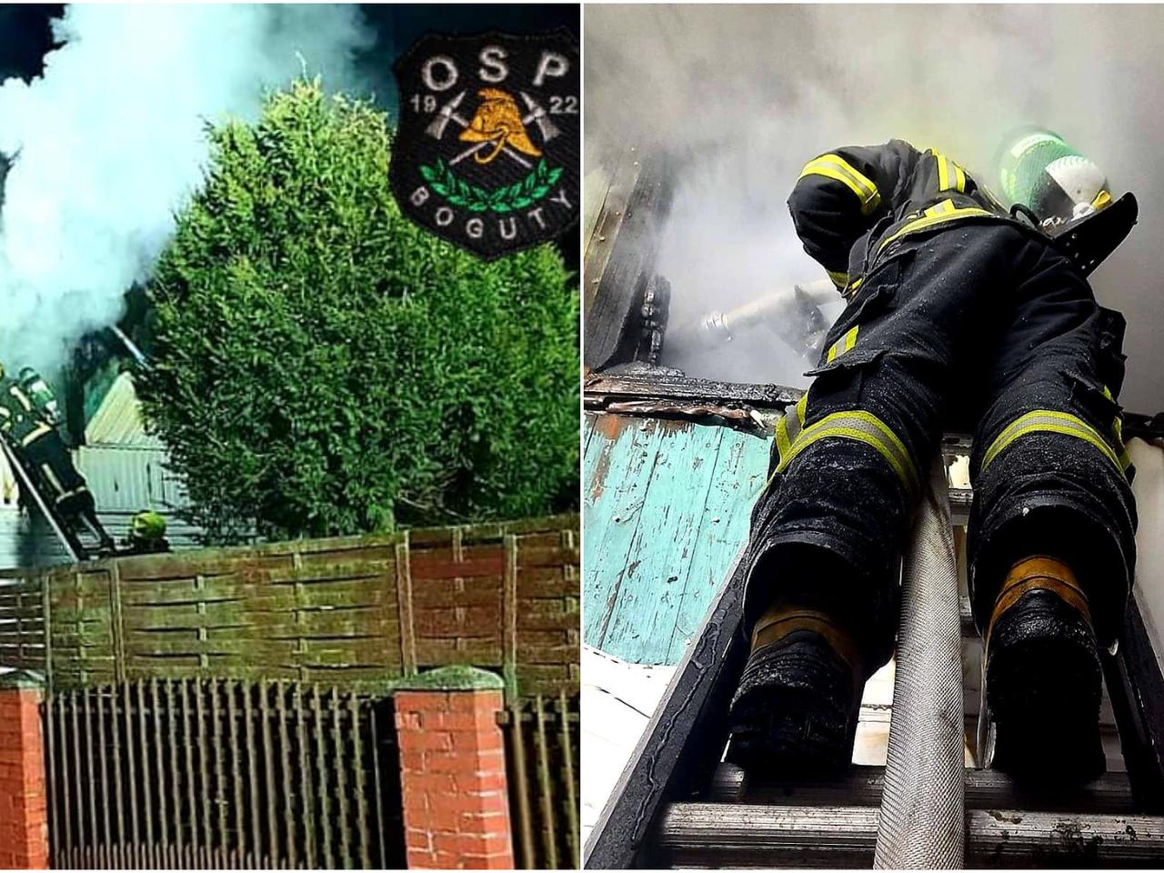 Dwie osoby zginęły pod Ostrowią Mazowiecką! Policja bada odpowiedzialność 28-latki [ZDJĘCIA]