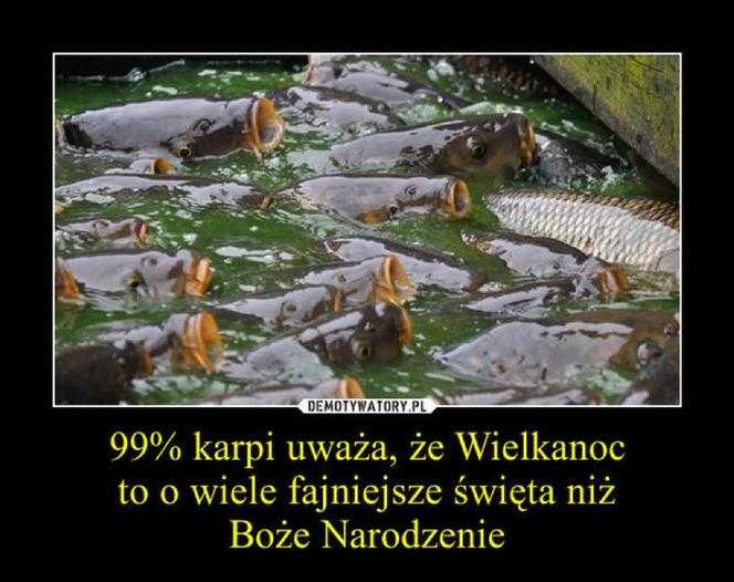 Ten poniedziałek będzie mokry! Najlepsze MEMY na śmigus-dyngus!