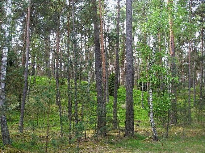 To najlepsze miejsca na wypad pod namiot według sztucznej inteligencji [ZDJĘCIA]