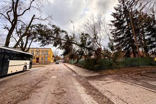 Groźne wichury na Warmii i Mazurach. Drzewo spadło na jadące auto, jedna osoba ranna