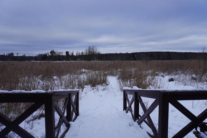 Idealne miejsce na zimowy wypoczynek na Podlasiu. To uzdrowisko robi furorę! Przyjeżdżają nawet Niemcy