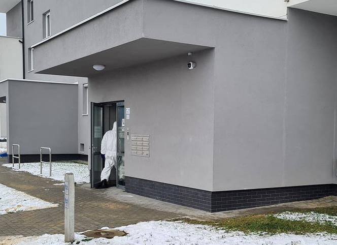 Krwawa masakra w Rzeszowie. Wołała pomocy, gdy dźgał ją nożem kuchennym. Nowe fakty [ZDJĘCIA]