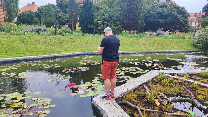 To jeden z najpiękniejszych ogrodów botanicznych w Polsce. Znajduje się na Dolnym Śląsku 