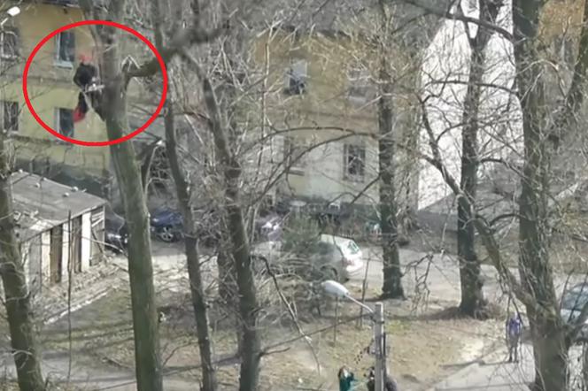 Katowice: Uciął gałąź, która runęła na ulicę