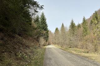 Ukryty szlak turystyczny pełen atrakcji. Nie każdy zna to miejsce w Małopolsce [GALERIA]