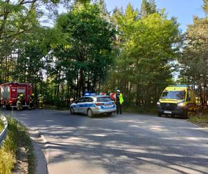 Wypadek pod Toruniem. Zakrwawiony kierowca wjechał autem w las