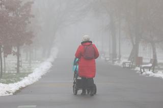 Park Ludowy w Lublinie skąpany we mgle