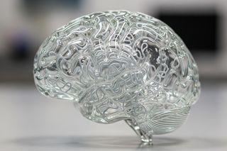 Dziedziczenie inteligencji. Naukowcy wskazują jednoznaczną odpowiedź