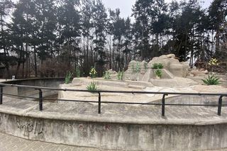 Instalacja artystyczna na dawnym wybiegu niedźwiedzi