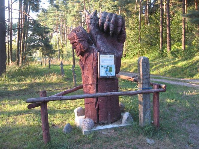 To najtrudniejsza trasa rowerowa na Warmii i Mazurach? Tak twierdzi AI