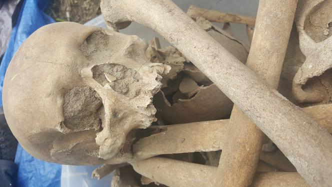 Gliwice: W Czechowicach odnaleziono fundamenty średniowiecznego kościółka i ludzkie kości [WIDEO, ZDJĘCIA]