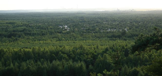 To najdziwniejsze miejsce w województwie śląskim. "Anomalia geograficzna"