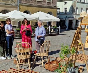Stare Miasto w Olsztynie tętniło życiem. Zobacz, co działo się w weekend!