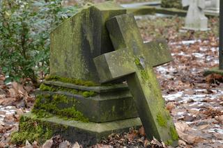 Miasto w lipcu przejmuje cmentarze na Junikowie i Miłostowie. Jak to wpłynie na ceny usług cmentarnych?
