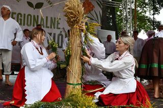 Regionalne Święto Ziół w Olsztynku. W programie masa atrakcji. Będzie kiermasz, warsztaty i koncerty 