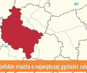 Wielkopolskie miasta o największej gęstości zaludnienia [RANKING]