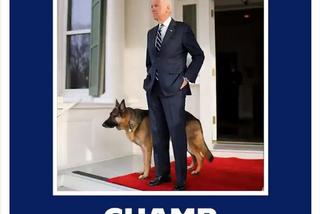 Joe Biden. Oto pierwszy pies USA