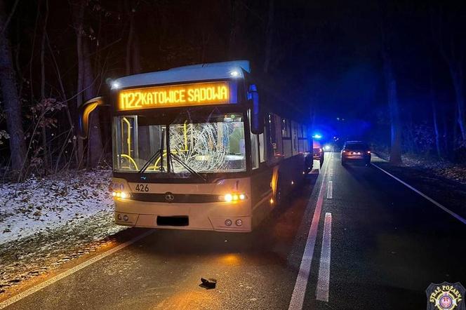 Autobus komunikacji miejskiej potrącił pieszego w Bieruniu 