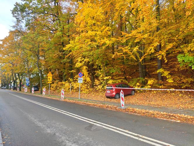 Wszystkich Świętych w Trójmieście. Zmiany w komunikacji