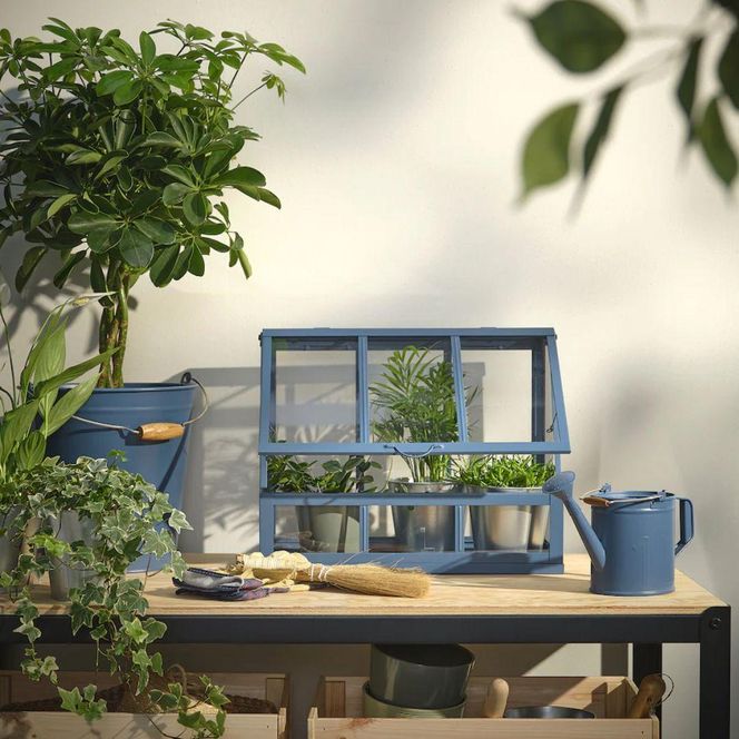Szklarnia IKEA