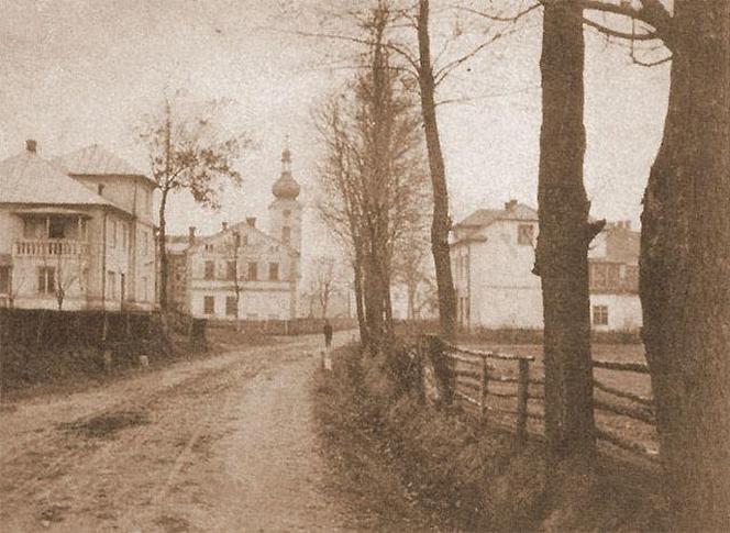 Zarzecze zalane wodami Jeziora Goczałkowickiego