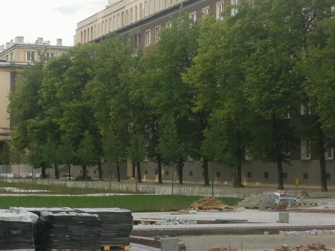Kraków. Aleja Róż wkrótce w pełni zakwitnie! Prace remontowe są na finiszu