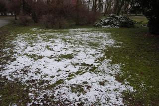 Marcowy atak zimy w Białymstoku i okolicach. Tak zima zaskoczyła białostoczan