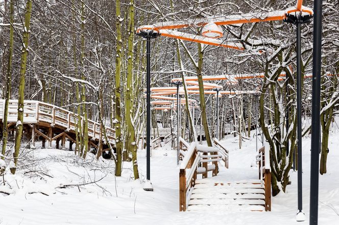 Park leśny na Oksywiu w Gdyni