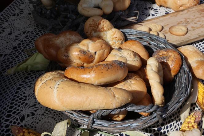 XXV Lubelskie Święto Chleba w Muzeum Wsi Lubelskiej